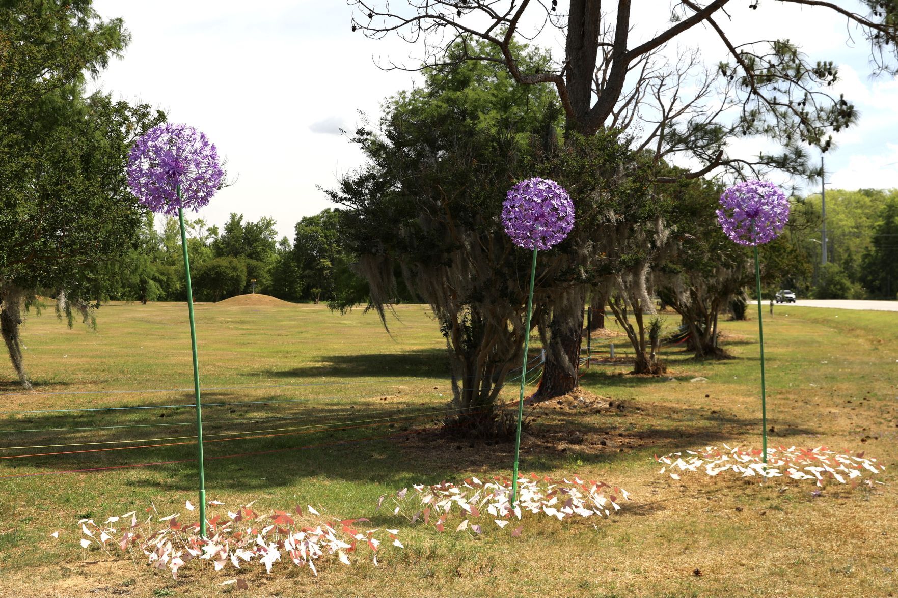 Outdoor Art Exhibit